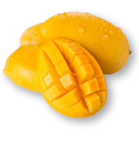 Untitled design (25)